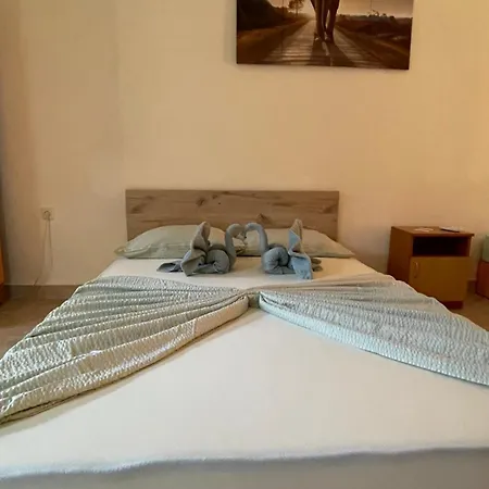 хостел-lotus Hostel *