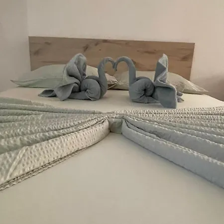 хостел-lotus *